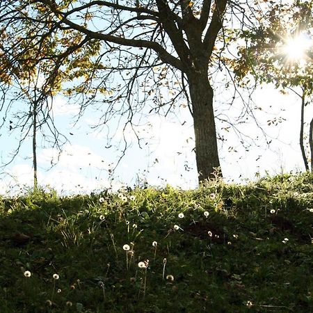 Agriturismo Florandonole Fai della Paganella Kültér fotó