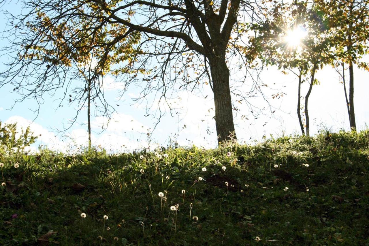 Agriturismo Florandonole Fai della Paganella Kültér fotó