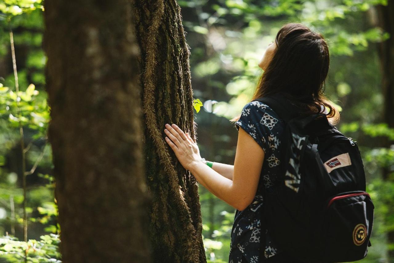 Agriturismo Florandonole Fai della Paganella Kültér fotó